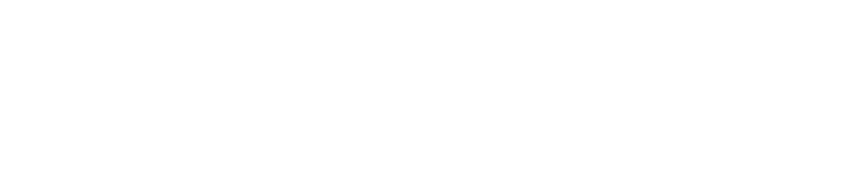 FORTUNE88 logo