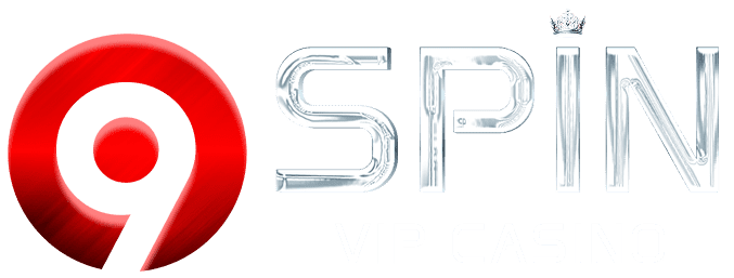 9SPIN logo